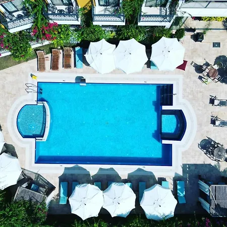 ホテル Michelangelo Boutique 2*