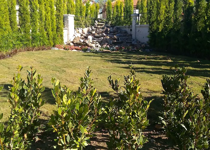 Michelangelo Boutique